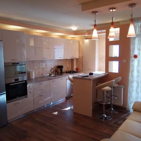 Ana'S Apartment Baia Mare Eksteriør bilde