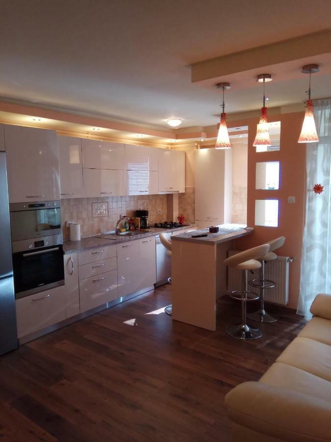 Ana'S Apartment Baia Mare Eksteriør bilde